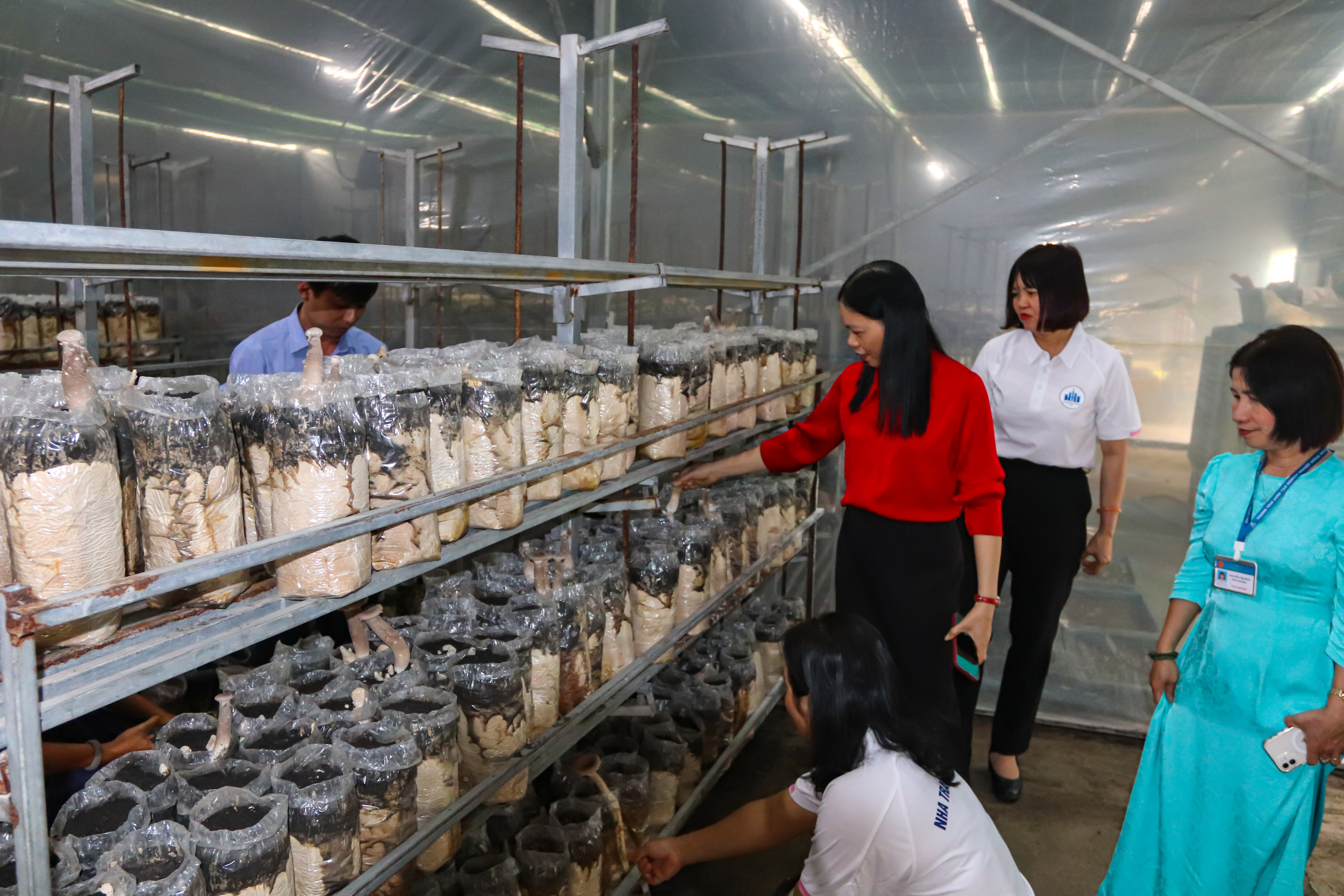 Kết nối hệ sinh thái đổi mới sáng tạo – mở rộng hợp tác khởi nghiệp và chuyển giao công nghệ